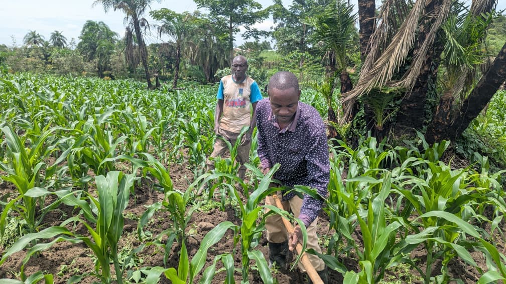 Wotabank user 2 in their maize garden