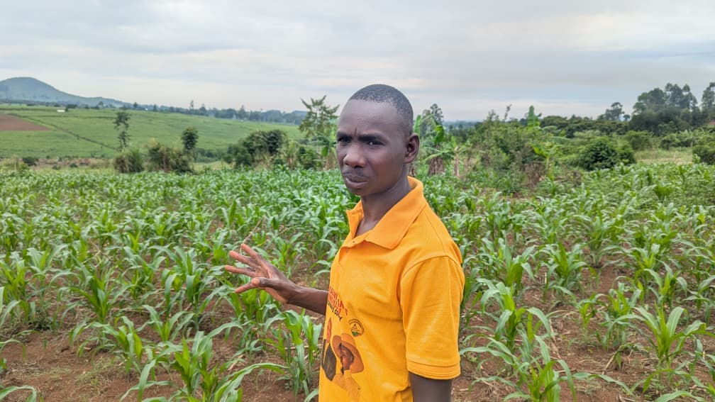Wotabank user 3 in their maize garden